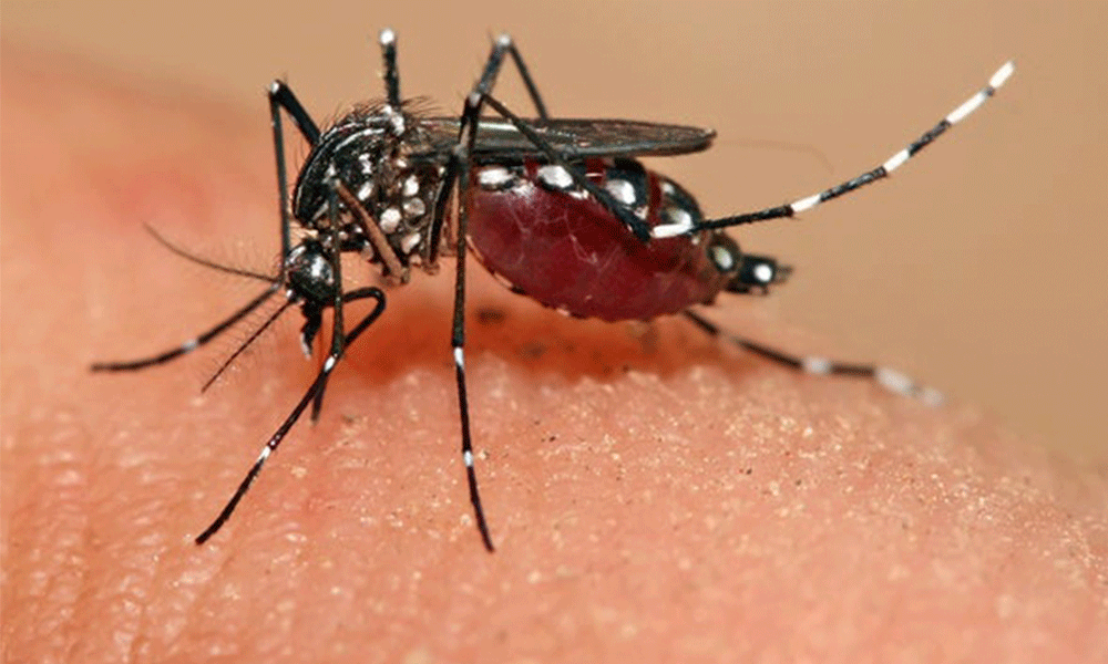 Preocupa brotes de dengue en bachilleres de Tehuacán