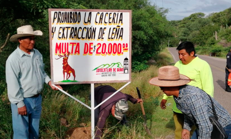 Aplicarán sanciones contra los taladores y cazadores en Xayacatlán