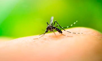 Reportan 18 casos de dengue en la Sierra Norte