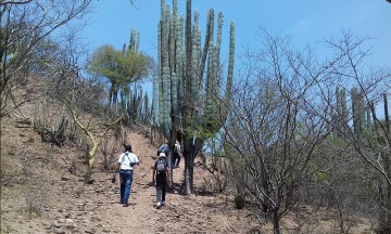 La Biósfera Tehuacán-Cuicatlán e INAH impulsarán el turismo