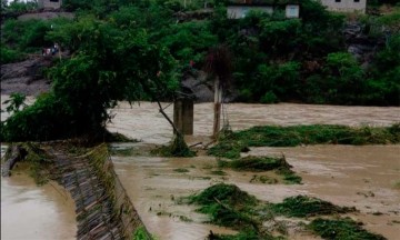 Pierden cultivos y ganado por fuertes lluvias en La Mixteca