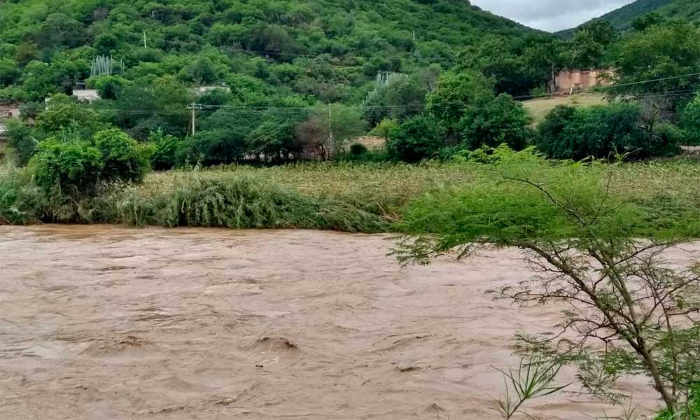 Desborde de río afecta a 98 hectáreas de Ilamacingo