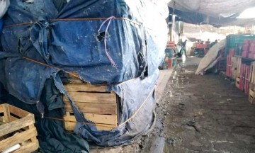 Mercado La Purísima padece insalubridad