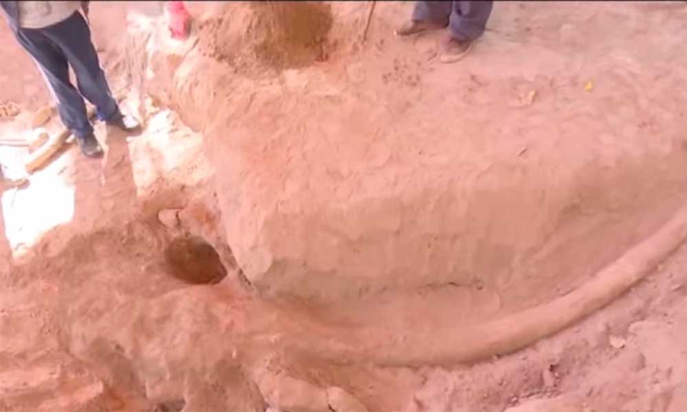 Encuentran restos fósiles de mamut en Tenango
