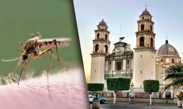 En alerta 10 colonias de Tehuacán por presencia del dengue