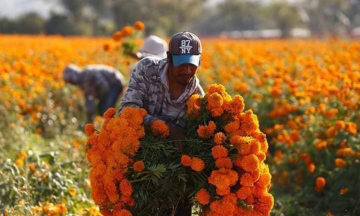 Buscan preservar cultura y tradición en la Mixteca