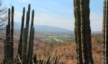 IPN analiza ríos y agua de la Reserva de la Biósfera