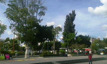 Detectan 15 árboles con hongo negro en parque de Tehuacán