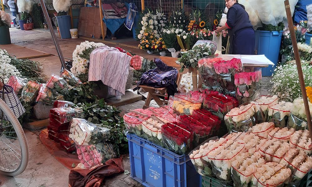 Floricultores de Texmelucan esperan vender mil toneladas