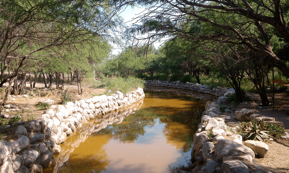 Empresas extranjeras dañan mantos acuíferos en Tepanco