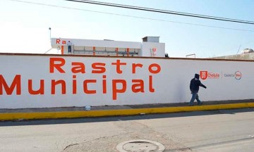 Clausuran rastro municipal de San Pedro Cholula