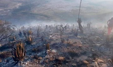 En riesgo, 10 municipios por incendios forestales