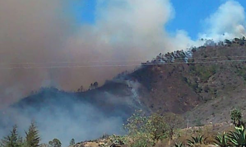 Incendio forestal consume hectáreas en cerro de Zautla