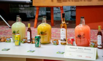 Zacatlán se consolida como productor de pulque