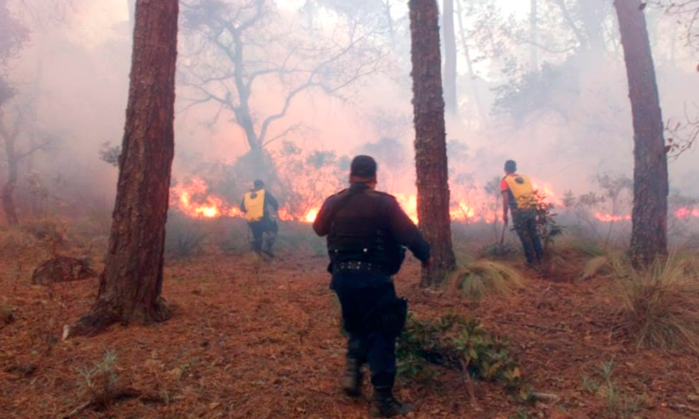 Arrasa incendio con 160 hectáreas en Chignautla