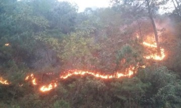 Controlado al 50 por ciento incendio en Yehuala