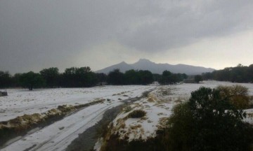 Revisan daños en cultivos de Acajete por granizada 