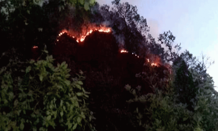 Incendio en Hueyapan consume ocho hectáreas de fauna en cerro El Águila