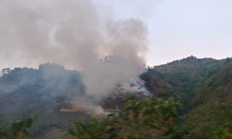 Incendios consumen 30 hectáreas en Huauchinango