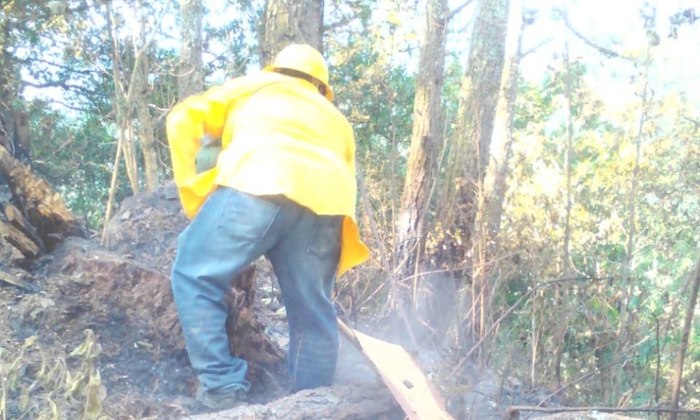 Van 15 incendios forestales en Huauchinango durante el año