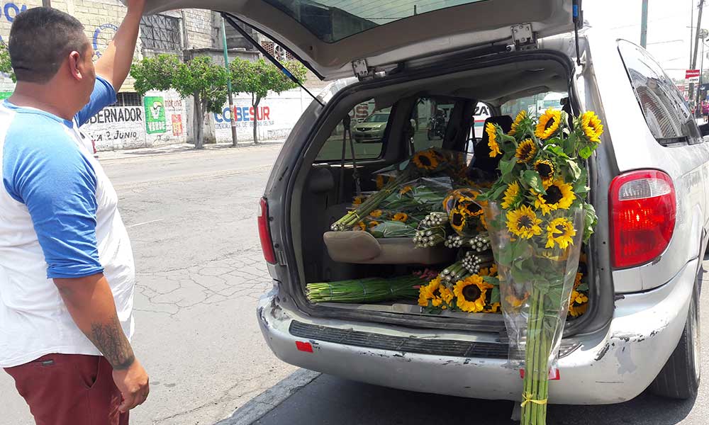 Floricultores se ven obligados a regalar sus flores por la pandemia