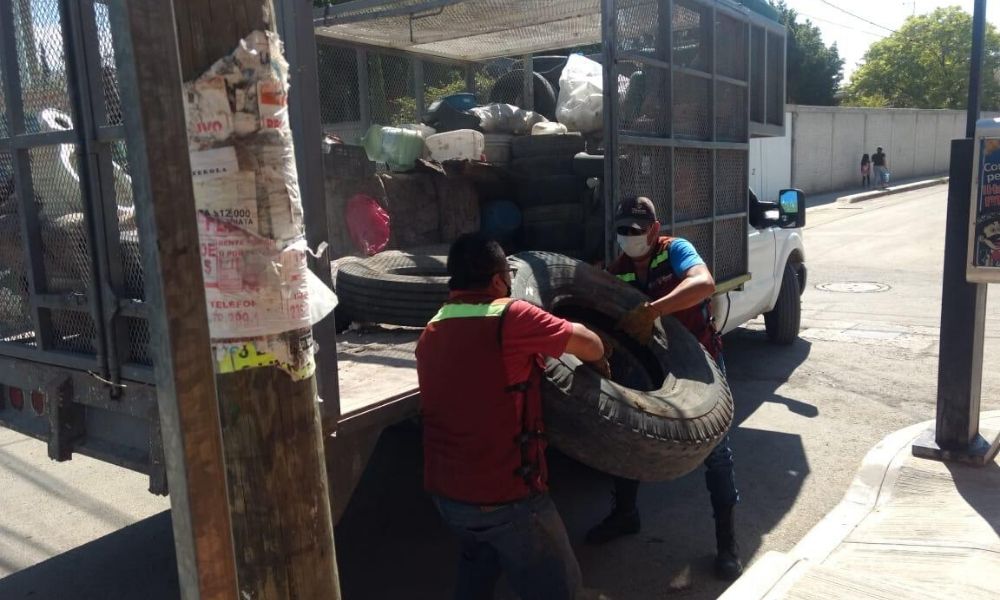 Se registran 22 casos de dengue en Tehuacán en los últimos 15 días