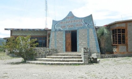 Habitantes de San Juan Raya le apuestan a la siembra para subsistir 