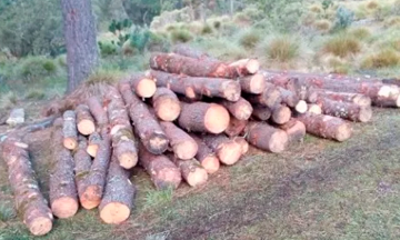 Detienen pobladores a camión con madera clandestina en Ixtacamaxtitlan