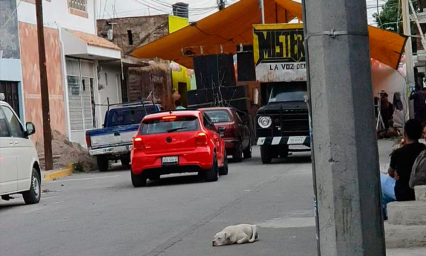 Fiestas en Amozoc contin&uacute;an pese a contingencia