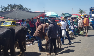 Tianguis 4 caminos sobrepasa a autoridades en Calpan en plena pandemia