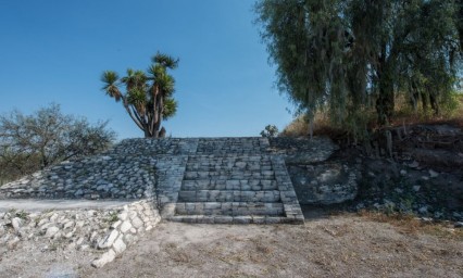 Cancelaci&oacute;n de la Feria del P&aacute;jaro afectar&aacute; a m&aacute;s de mil comerciantes