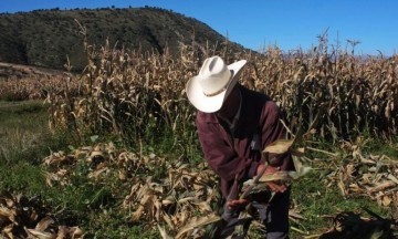 La situación se torna complicada pues algunos empleados han quedado temporalmente sin empleo