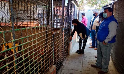 Perrera de Atlixco en medio de la polémica por brote de enfermedad