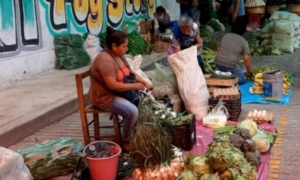 Alertan por venta de hongos silvestres, sería un riesgo para la salud