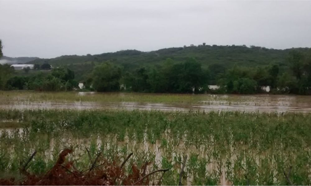 Reportan daños en municipios mixtecos por fuertes lluvias