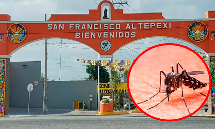 Registra San Francisco Altepexi alrededor de 200 casos de dengue