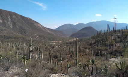 Alerta Reserva de la Biosfera sobre venta ilegal de lotes