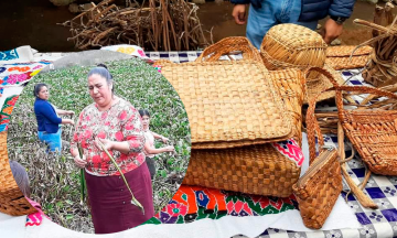 De plaga a artesanía, así aprovechan el lirio acuático en Huauchinango