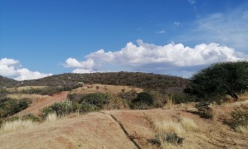 Estas especies han sido vistas en el municipio de Xayacatlan de Bravo.