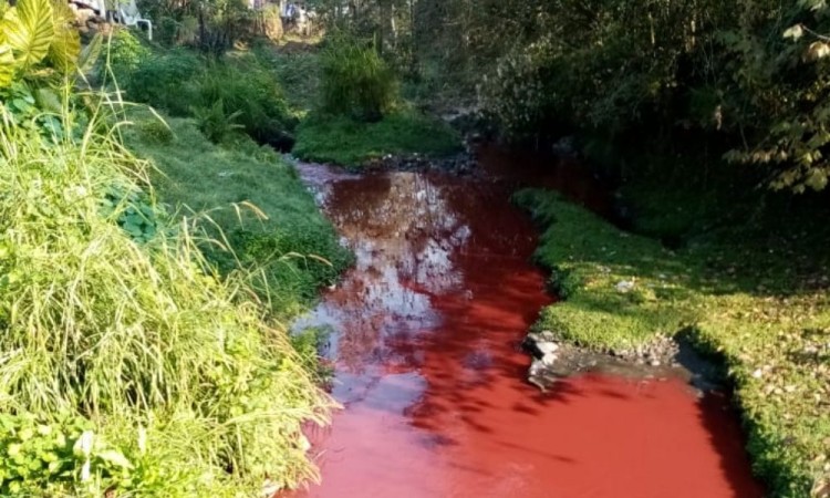 Denuncian polución del Río Xolotl; exigen atención en la zona