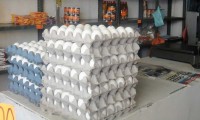 Incrementa el precio de huevo en Tehuacán, llega a más de 40 pesos el kilo