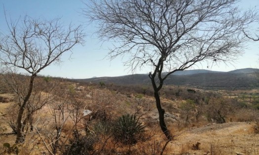 El calor recrudece en el estado, sobre todo en los municipios mixtecos 