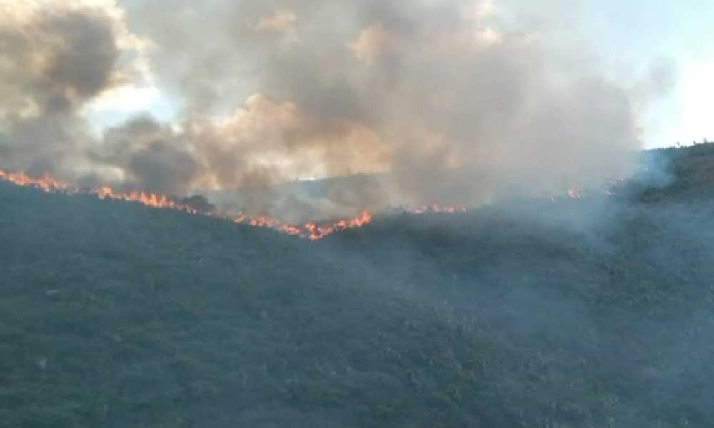 Devasta incendio activo en Tlacotepec y Juan N. Méndez más de 300 hectáreas 