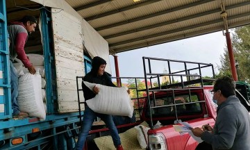 Alcaldesa de Tepexi subsidia insumos agrícolas para más de 900 productores 