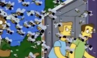 ¡Ahí vienen! Ataques de abejas se hacen constantes en Atlixco