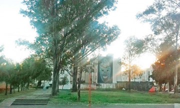 Talar&aacute;n &aacute;rboles del Infonavit Cholula para convertirlo en estacionamiento, denuncian