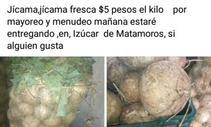 Por pandemia campesinos rematan su producto