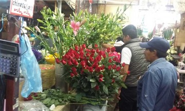 Por heladas y crisis sanitaria sube el precio de la flor en San Martín, reportan floristas