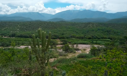 Hallan pastizales milenarios en zona cercana a la Reserva de la Biosfera