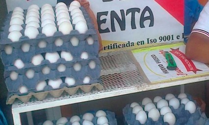 Incremento en precio de maíz impacta costos de pollo, huevo y cerdo